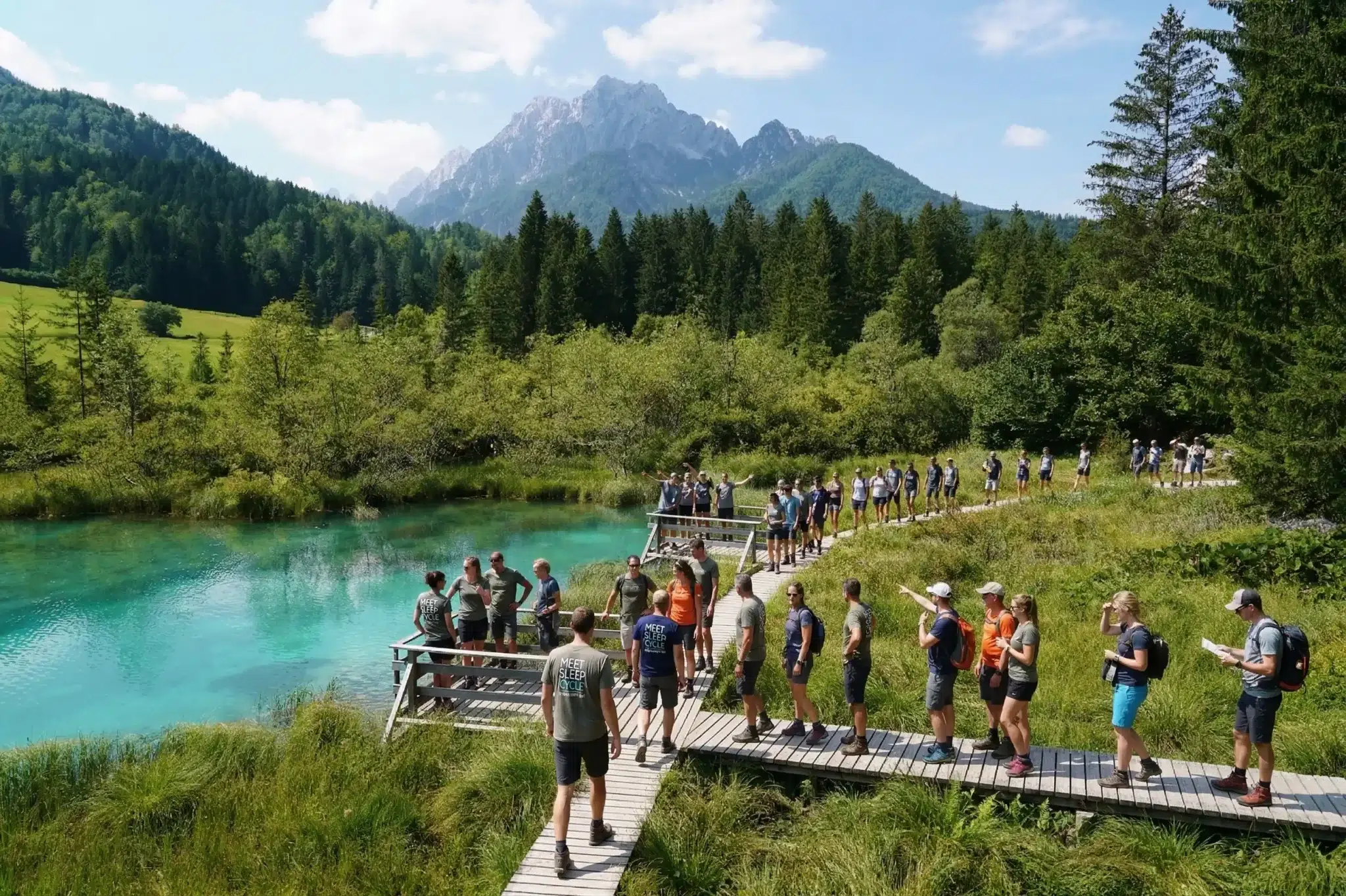 Sustainability & Wellbeing