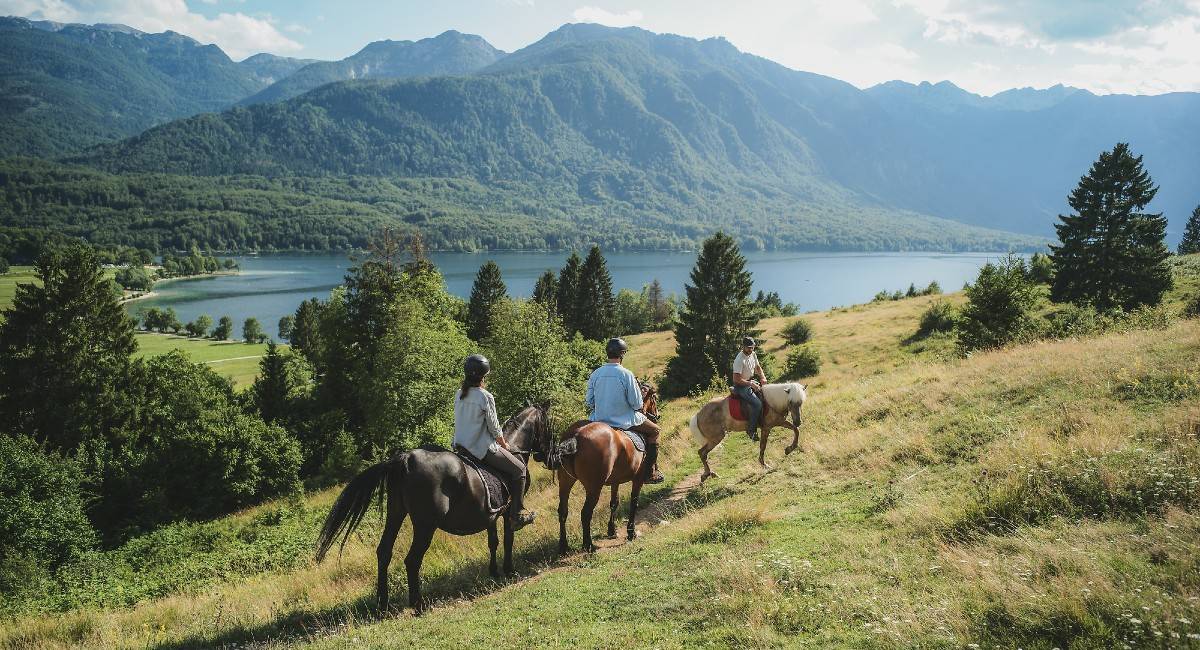 Sustainability & Wellbeing